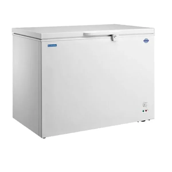 CONGELADOR GOODWEATHER GW-240XT 200LT - GOODWEATHER - CONGELADORES - Rapidito - Loma Grande